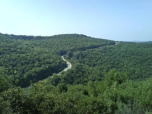 the green way on a green day